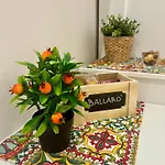 Guest house D'aragona