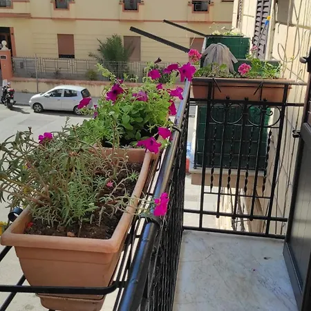 Casa de hóspedes D'aragona *