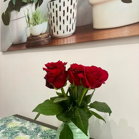D'aragona * פלרמו
